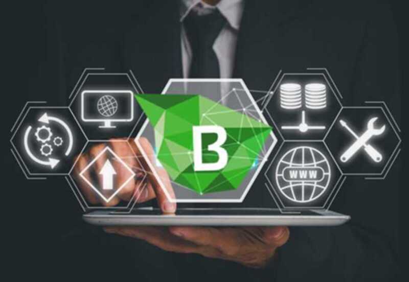 Хостинг-ловушка: как BeeHosting вымогает деньги у клиентов, блокирует доступ к оплаченным серверам и имитирует возвраты в крипте